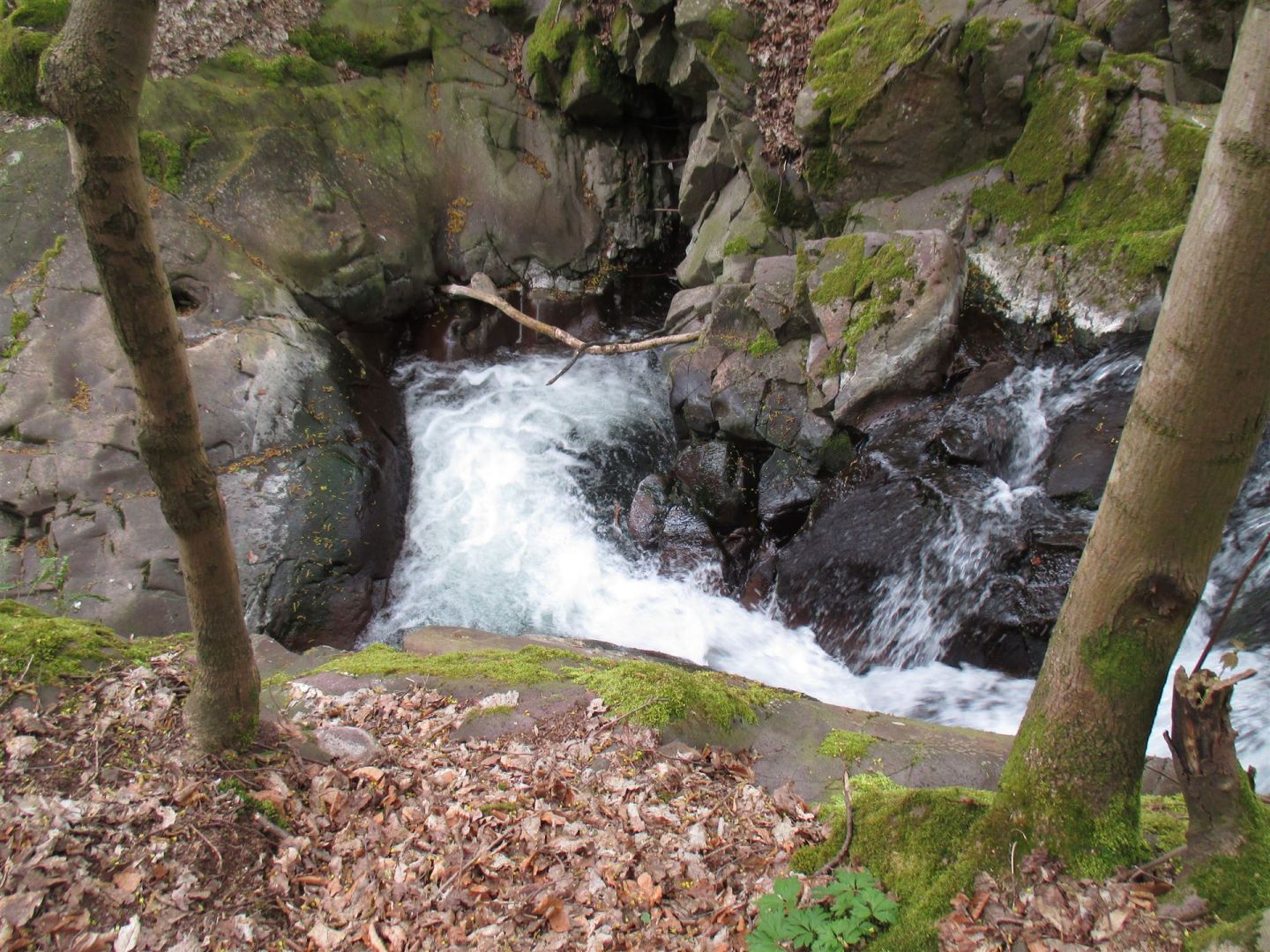 Lonauer Wasserfall - Foto: © Gabriela Bock