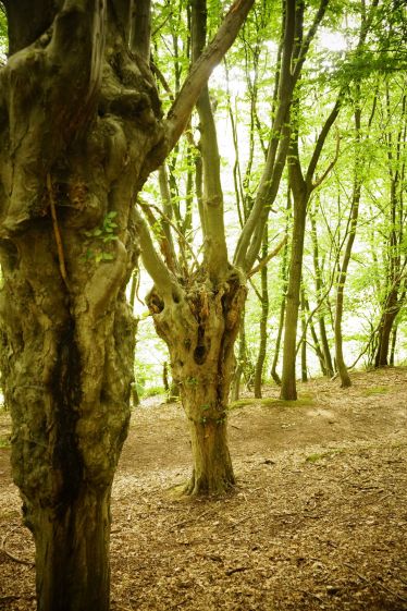 Mordsmäßig unterwegs - Wanderung 4